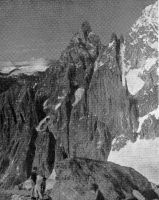 THE AIGUILLE NOIRE DE PEUTERET - from The Torino Hut