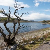 Loch Achall (Paul Evans)