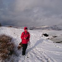 Shows Bridget dragging the reluctant Sandy on yet another LLC meet in cold weather. That poor dog! (Lorna Marsland)