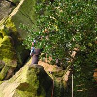 Nov 2009: Fight with the holly at the Roaches (Christine Stark)