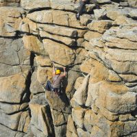 Midge at Sennen (Katie Horgan)