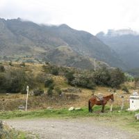 Drive to National Park (James Richardson)