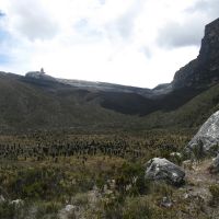 Pan de Azucar and the valley of Frailejones (James Richardson)