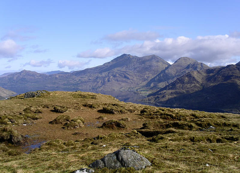 Picture Home Page