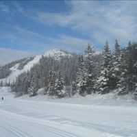 Cross Country Ski Run (Rob Allen)