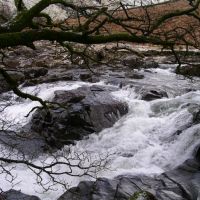 The river in Langstrath (Chris Thickett)