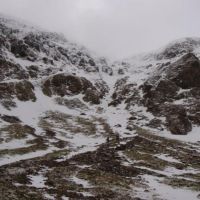 Parsley Fern Gully (James Hoyle)