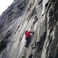 Damp slate - James Williams - Zeus F6a (Colin Maddison)