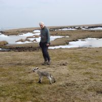 Newborn lamb finds a friendly Dave (Dave Shotton)