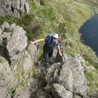 Midge on Jack's Rake (Roger Dyke)