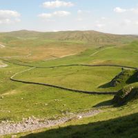 Glorious Yorkshire! (Lucie Williams)