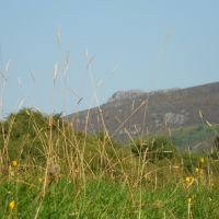 Simon's seat (Lucie Williams)