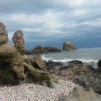 Muchalls Shore (Gareth Williams)