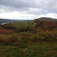 Newly unrestricted view towards Holyhead Mountain! (Dave Shotton)