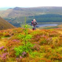 Cathy and Roger on the trail of the lonesome pine (Dave Shotton)