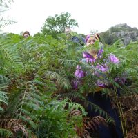 The near vertical bracken ridden descent to Blackmoss Pot (Virginia Castick)