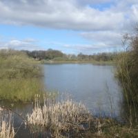 View over Appleton Reservoir (Dave Shotton)