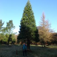 Lester at Rivington Arboretum with trees planted in memory of Alan Payne (Dave Shotton)