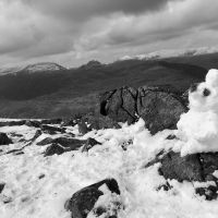 Look very closely at our snowy friend (Emily Pitts)