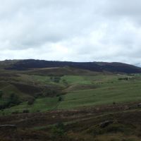 Roaches ridge from Ramshaw Rocks showing extent of fire damage (Dave Shotton)