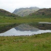 Final tarn. Blea Tarn. Everyone swam here including Ding (Virginia Castick)