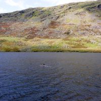 Swimming in Seathwaite Tarn (Dave Wylie)