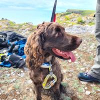 Henry racked up for climbing (Gareth Williams)