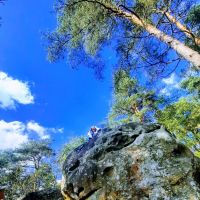 Caro, topped out at but not on Elephant, with accidental filter (Caro Churchill)