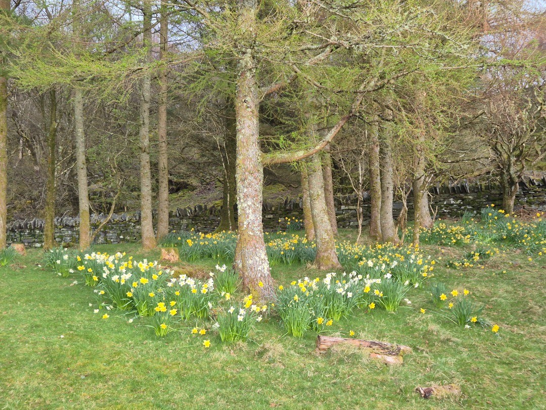 Picture Home Page Picture Home Page