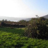 Bonfire night preparations (Chris Williams)